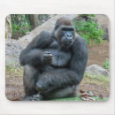 Sök efter gorilla musmattor Zoo