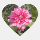 Sök efter flower heart klistermärken Blommor