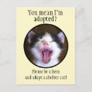 Sök efter gulliga roliga djur vykort För alla