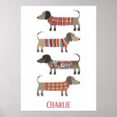 Sök efter korv posters Dachshund