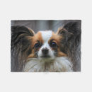 Sök efter gullig hund fotografi För alla