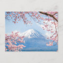 Sök efter japan berg Körsbärs blommar