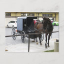 Sök efter amish Lancaster