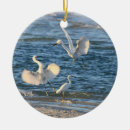 Sök efter snöig egret För alla