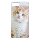 Sök efter gullig djur iphone fodral Katt