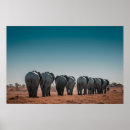 Sök efter etosha Natur