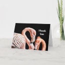 Sök efter flamingo kort Foto