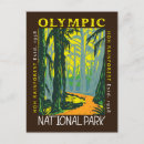 Sök efter rainforest vykort Olympisk nationalpark