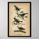 Sök efter avian Vintage