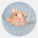 Sök efter hamster klistermärken Äta