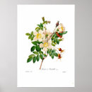 Sök efter alpin posters Illustration