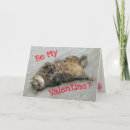 Sök efter kattvalentinkort Människor (allmänt)