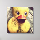 Sök efter ducky posters Anka