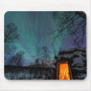 Sök efter nordligt musmattor Aurora