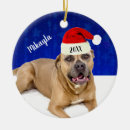 Sök efter bull julgransprydnader Söt
