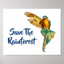 Sök efter amazonas posters Djungel