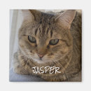 Sök efter kattfoto magneter Äta
