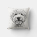 Sök efter lagotto Valp
