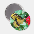 Sök efter butterfly magneter Fjäril