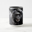 Sök efter schimpans muggar Gorilla