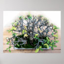 Sök efter bonsai träd posters Natur