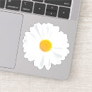Sök efter mac fotografi För henne