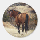 Sök efter horse magneter Natur