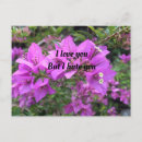 Sök efter storlek vykort För dem