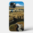 Sök efter nationalpark ipad skal Stort format