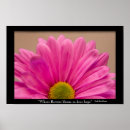Sök efter rosa gerbera posters Daisy