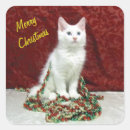 Sök efter jul för maine Katt