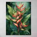 Sök efter heliconias posters Hawaii