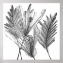 Sök efter silhueta posters Löv