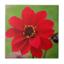 Sök efter dahliaen dahlias Blommigt