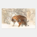 Sök efter tiger fotografi För alla