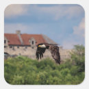 Sök efter fort klistermärken Natur