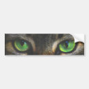 Sök efter ögon bildekaler Katt