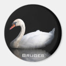 Sök efter djur vatten magneter Vit