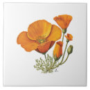 Sök efter kalifornien kakelplattor Keramik