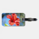 Sök efter röd hibiskus accessoarer Hawaiiansk