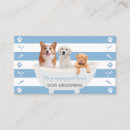 Sök efter corgi visitkort Djuromsorg