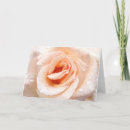 Sök efter rosa ros hälsningkort Steg