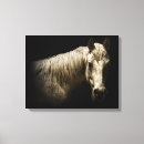 Sök efter horse canvastryck Fotografi