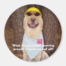 Sök efter avel hem presenter Hund