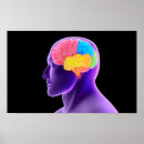 Sök efter människokropp posters Biologi