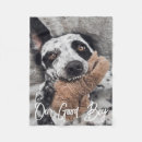 Sök efter bra hund Foto