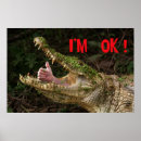 Sök efter krokodil posters Alligator