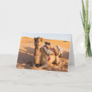 Sök efter rolig kamel kort Öken