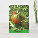 Sök efter i ett pearträd 12 dagar av jul