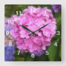 Sök efter vanlig hortensia konst Blomma